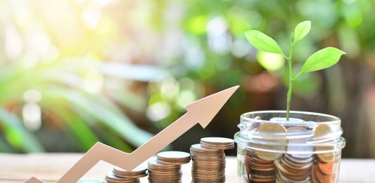 Wohin mit meinem Geld in der Niedrigzinsphase? Niedrigzinsphase