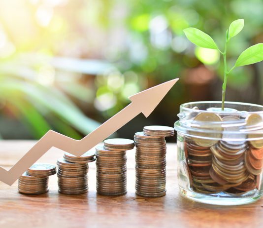 Wohin mit meinem Geld in der Niedrigzinsphase? Niedrigzinsphase