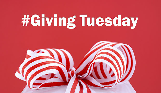 GivingTuesday – tun Sie Gutes! GivingTuesday-Foto