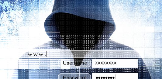 Cyber Kriminalität – Verbrechen im Internet Cyber Kriminalität