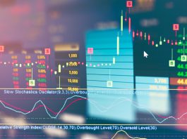 Sieben Fakten zum 30. Geburtstag des Deutschen Aktienindex Zebraskottchen