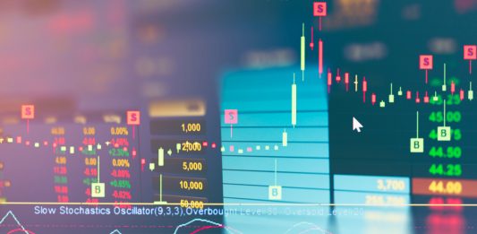 Sieben Fakten zum 30. Geburtstag des Deutschen Aktienindex Zebraskottchen