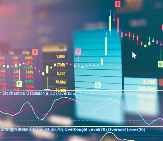 Sieben Fakten zum 30. Geburtstag des Deutschen Aktienindex Zebraskottchen