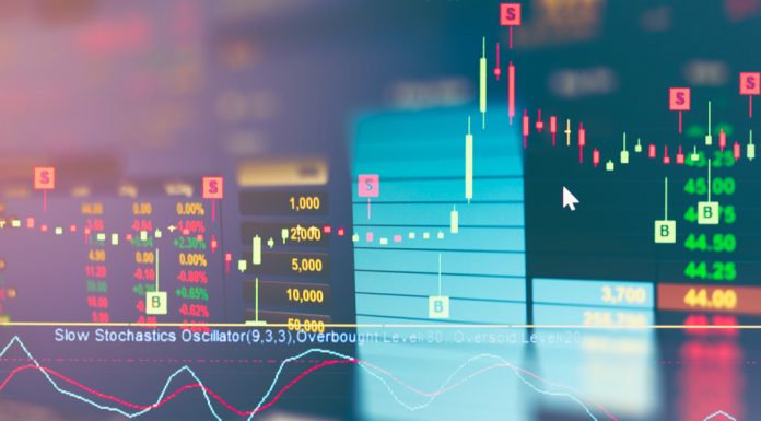 Sieben Fakten zum 30. Geburtstag des Deutschen Aktienindex Zebraskottchen