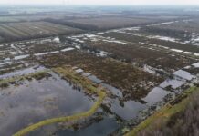 Gemeinsam fürs Klima: Wie die Förde Sparkasse ihre CO₂-Emissionen kompensiert