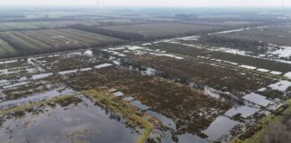 Gemeinsam fürs Klima: Wie die Förde Sparkasse ihre CO₂-Emissionen kompensiert