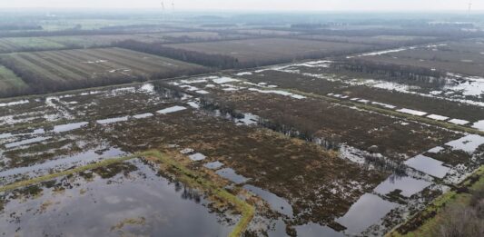 Gemeinsam fürs Klima: Wie die Förde Sparkasse ihre CO₂-Emissionen kompensiert