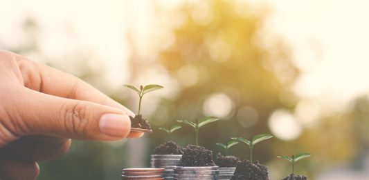 Förde Sparkasse legt großen Wert auf Nachhaltigkeit Nachhaltigkeit