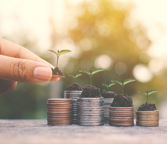 Förde Sparkasse legt großen Wert auf Nachhaltigkeit Nachhaltigkeit