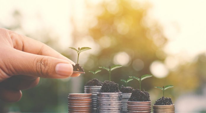 Förde Sparkasse legt großen Wert auf Nachhaltigkeit Nachhaltigkeit