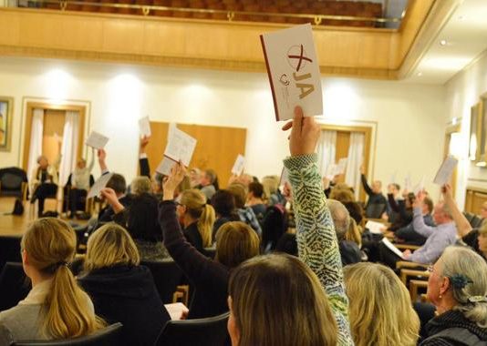 Mein Ehrenamt im Kieler Spendenparlament e.V.