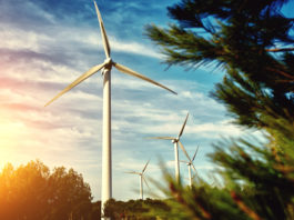 Bewusster leben und die Umwelt schonen umwelt