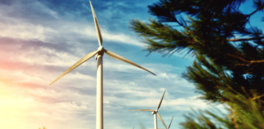 Bewusster leben und die Umwelt schonen umwelt