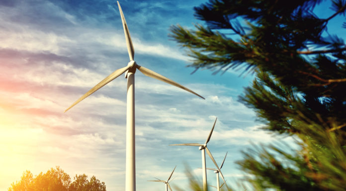 Bewusster leben und die Umwelt schonen umwelt