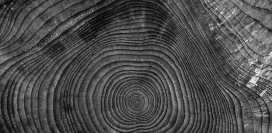 DIE Nachhaltigkeitsstrategie gibt es nicht Nachhaltigkeitsstrategie