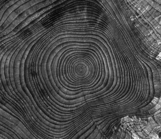 DIE Nachhaltigkeitsstrategie gibt es nicht Nachhaltigkeitsstrategie