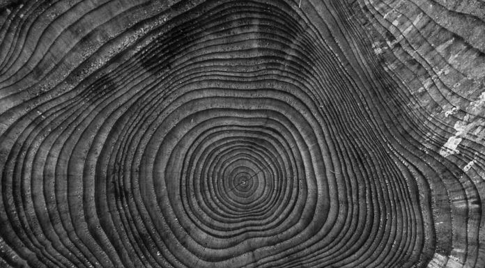 DIE Nachhaltigkeitsstrategie gibt es nicht Nachhaltigkeitsstrategie