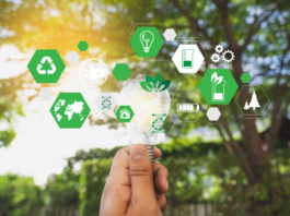 Nachhaltigkeit – was bedeutet das eigentlich genau? Nachhaltigkeit