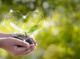 Nachhaltige Investments beliebt wie nie