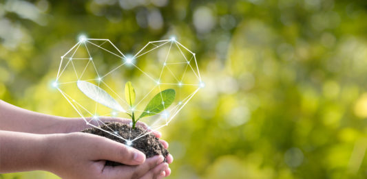 Nachhaltige Investments beliebt wie nie