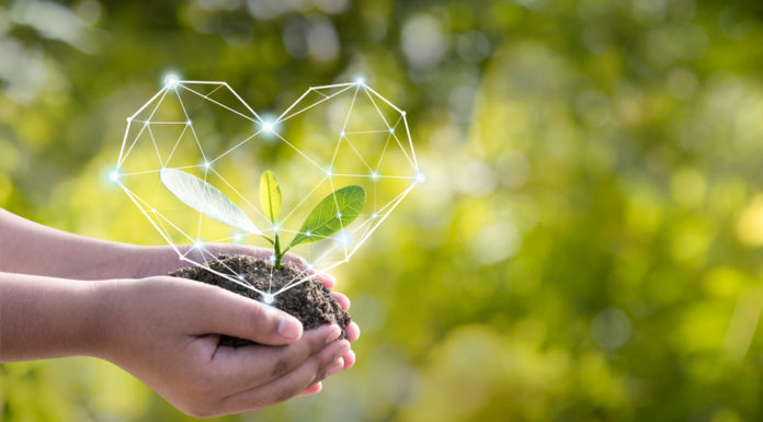 Nachhaltige Investments beliebt wie nie