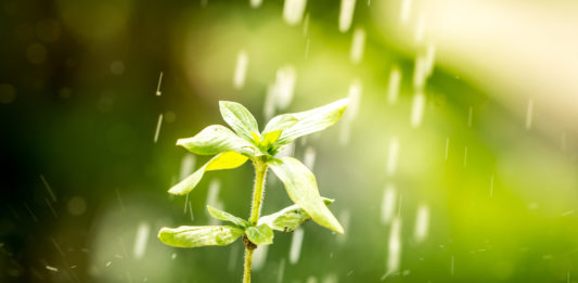 Nachhaltigkeit als Erfolg von Kapitalanlagen Swisscanto