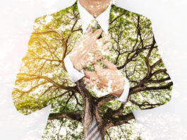 Ökologisch, sozial, ökonomisch: Die drei Säulen der Nachhaltigkeit