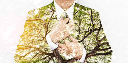 Ökologisch, sozial, ökonomisch: Die drei Säulen der Nachhaltigkeit