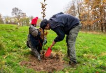Aktion „Waldmeister“: Haus bauen und Umwelt schützen