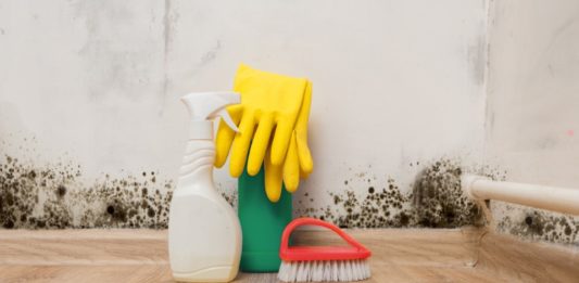 Schimmel in der Wohnung vermeiden und behandeln schimmel