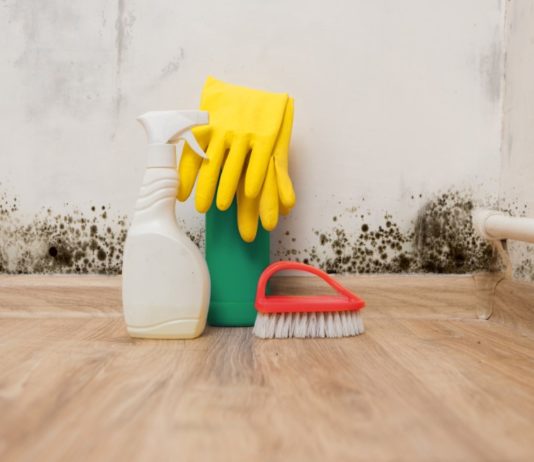 Schimmel in der Wohnung vermeiden und behandeln schimmel