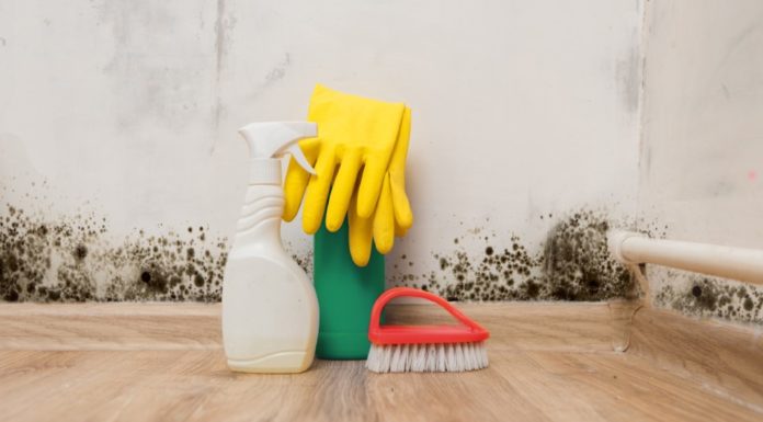 Schimmel in der Wohnung vermeiden und behandeln schimmel