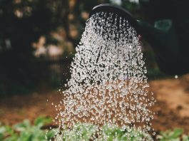 An der Börse hilft Regelmäßigkeit