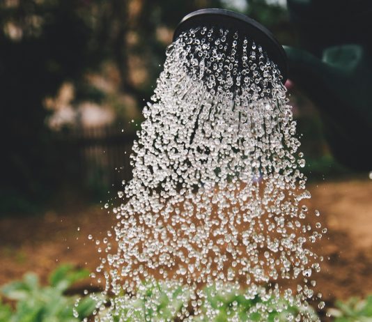 An der Börse hilft Regelmäßigkeit