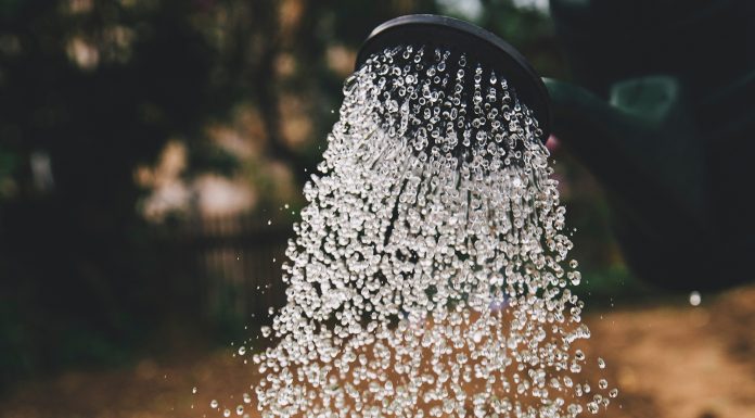 An der Börse hilft Regelmäßigkeit