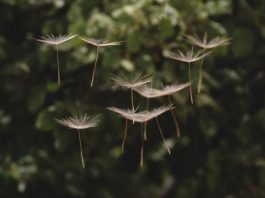 Einfach erklärt: Sparen mit dem Durchschnittskosteneffekt (Cost-Average-Effekt)