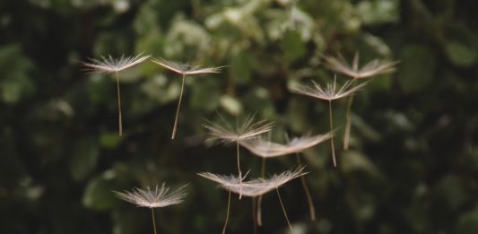 Einfach erklärt: Sparen mit dem Durchschnittskosteneffekt (Cost-Average-Effekt)