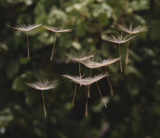 Einfach erklärt: Sparen mit dem Durchschnittskosteneffekt (Cost-Average-Effekt)