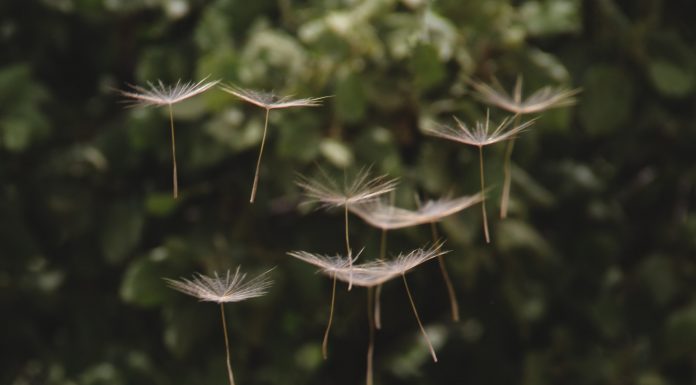 Einfach erklärt: Sparen mit dem Durchschnittskosteneffekt (Cost-Average-Effekt)