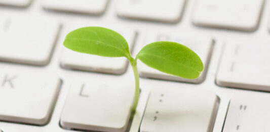 Digitale Nachhaltigkeit: Was ist das? Nachhaltigkeit