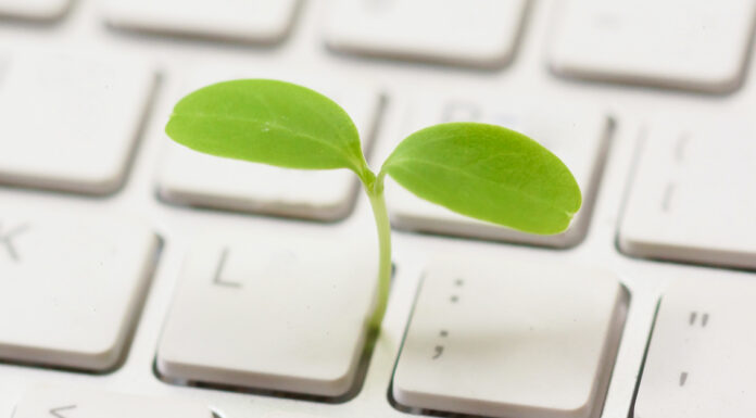 Digitale Nachhaltigkeit: Was ist das? Nachhaltigkeit