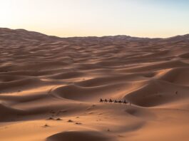 Wussten Sie eigentlich…? Derivate gibt es seit mindestens 4.000 Jahren