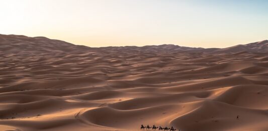 Wussten Sie eigentlich…? Derivate gibt es seit mindestens 4.000 Jahren