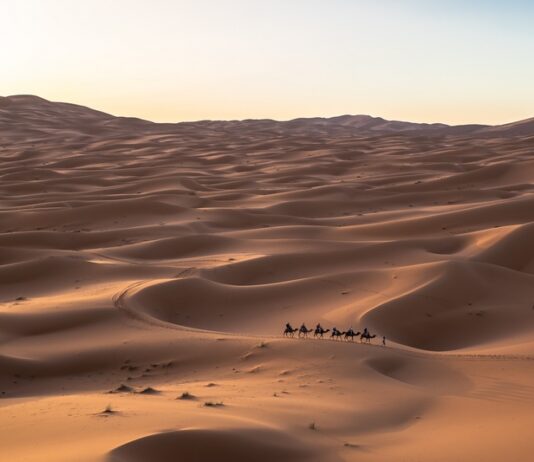 Wussten Sie eigentlich…? Derivate gibt es seit mindestens 4.000 Jahren