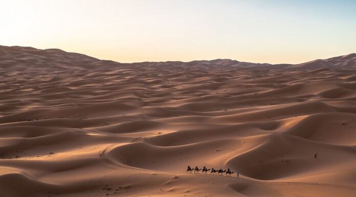 Wussten Sie eigentlich…? Derivate gibt es seit mindestens 4.000 Jahren