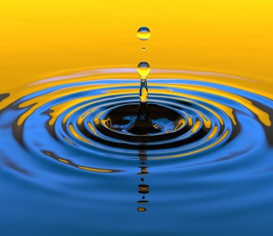 Impact Fonds: Was Geld für Klima und Wirtschaft positiv bewirken kann impact fonds