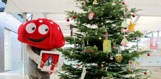 Aktion „Wunschbaum“: Über 70 zauberhafte Wünsche