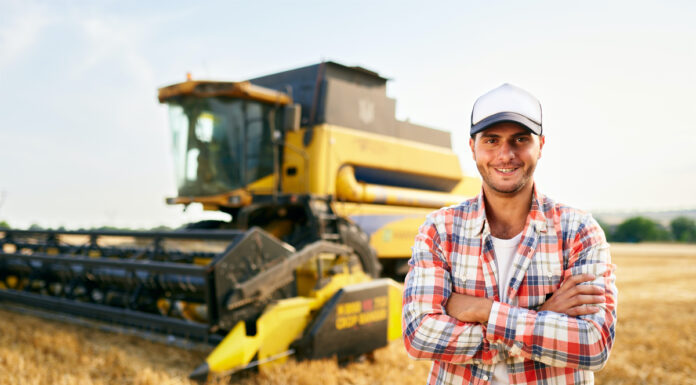 Wachsen ist einfach… mit Leasing oder Mietkauf leasing