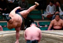 Asienpower ins Depot packen Sumo Ringer