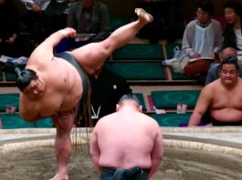 Asienpower ins Depot packen Sumo Ringer